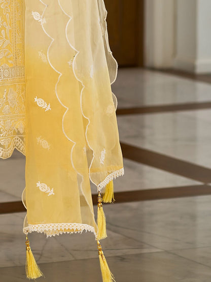 Floral Embroidered Sequinned Straight Organza Kurta With Trousers And Dupatta