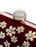 Dhiyona NR Maroon & White Embroidered Box Clutch