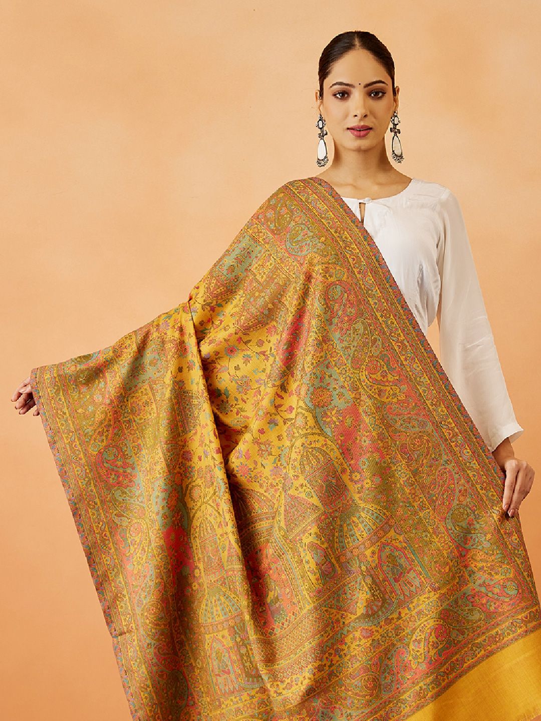 Dhiyona PA Women Paisley Woven Design Shawl