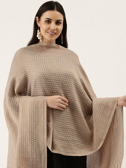 Dhiyona PA Women Beige Colored Woven Design Pashmina Shawl