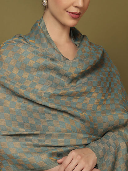 Dhiyona PA Checked Woven Design Woolen Shawl