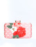 Dhiyona NR Floral Embroidered Box Clutch