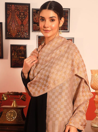 Dhiyona PA Checked Woven Design Shawl